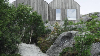 Inspireras av 10 fasader behandlade med järnvitriol