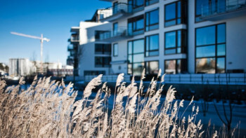 Unga bostadsköpare i storstäderna måste låna från föräldrar