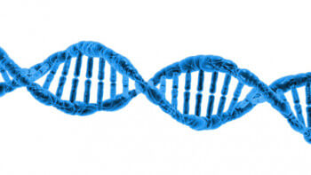 Märk-DNA ger färre inbrott 