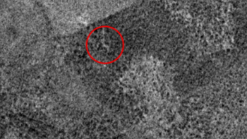 Flygbilder i rak kontrast mot ministerns uttalande