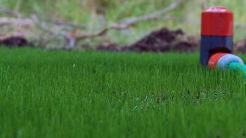 Justitiekanslern kritiserar Lantmäteriets handläggningstider