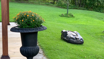 Är du proffs på robotgräsklippare?