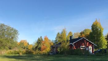 Se upp: Rörliga elavtal kan ha lång bindningstid