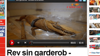 Hittade krokodil när hantverkaren rev ut garderoben