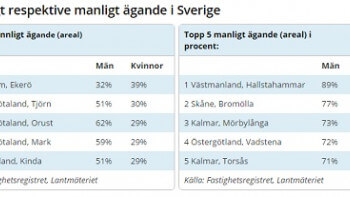 Män äger fler hus och mer mark