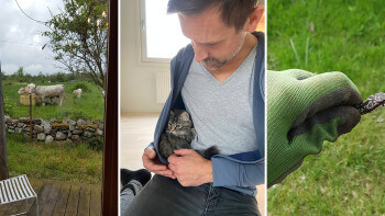 Mest älskade inläggen 2021