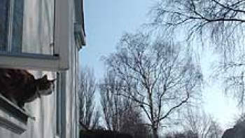 Fem typer av ventilation