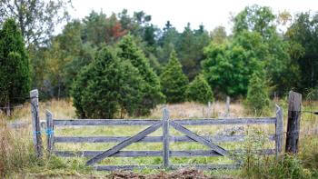 Svalt intresse att bevara servitut