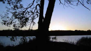 Lyxade till sjöbod svart - får betala dyrt