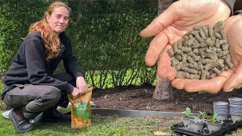 Grön trädgård trots vattenbrist med smart bevattning och ullpellets