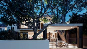 Ett träd mitt i huset