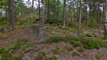 Oväntad avgift efter tomtköp