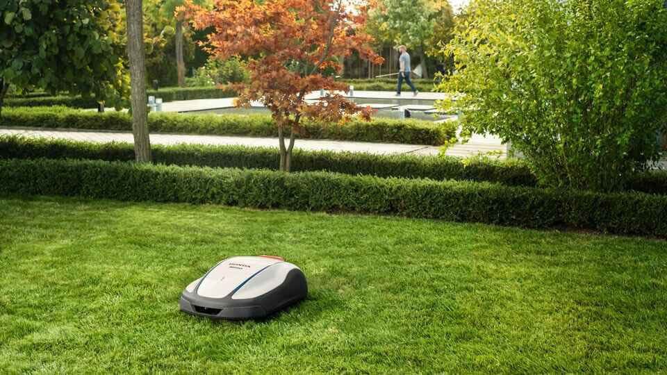 Honda Mimo HRM4000 Live