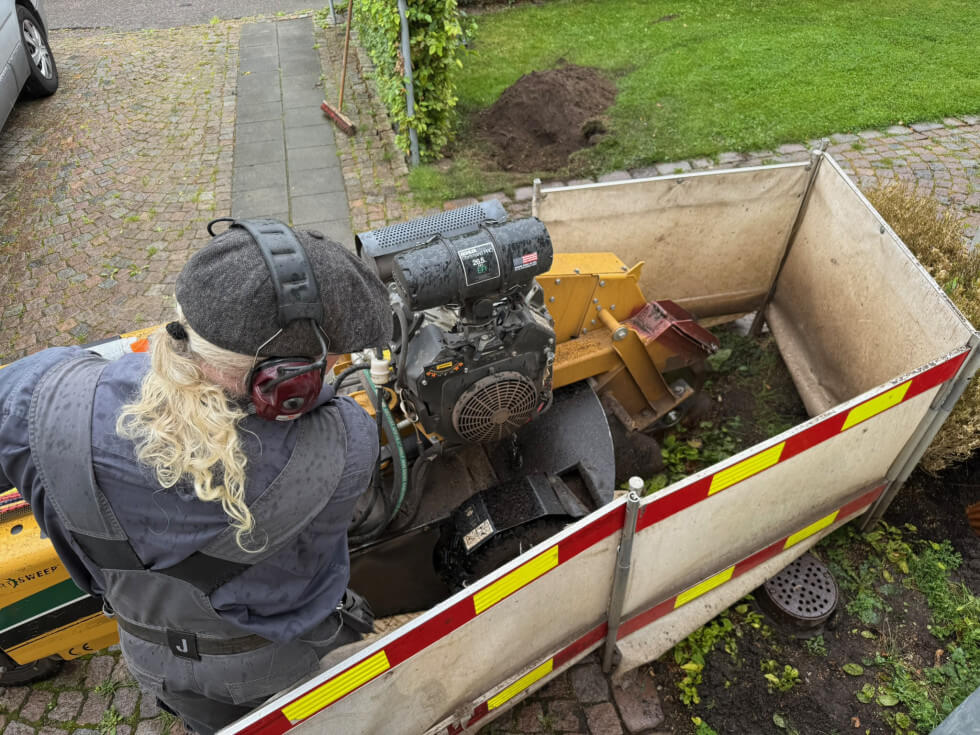 Jörgen fräser stubbar