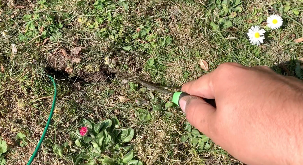 Skära i gräsmattan med morakniv