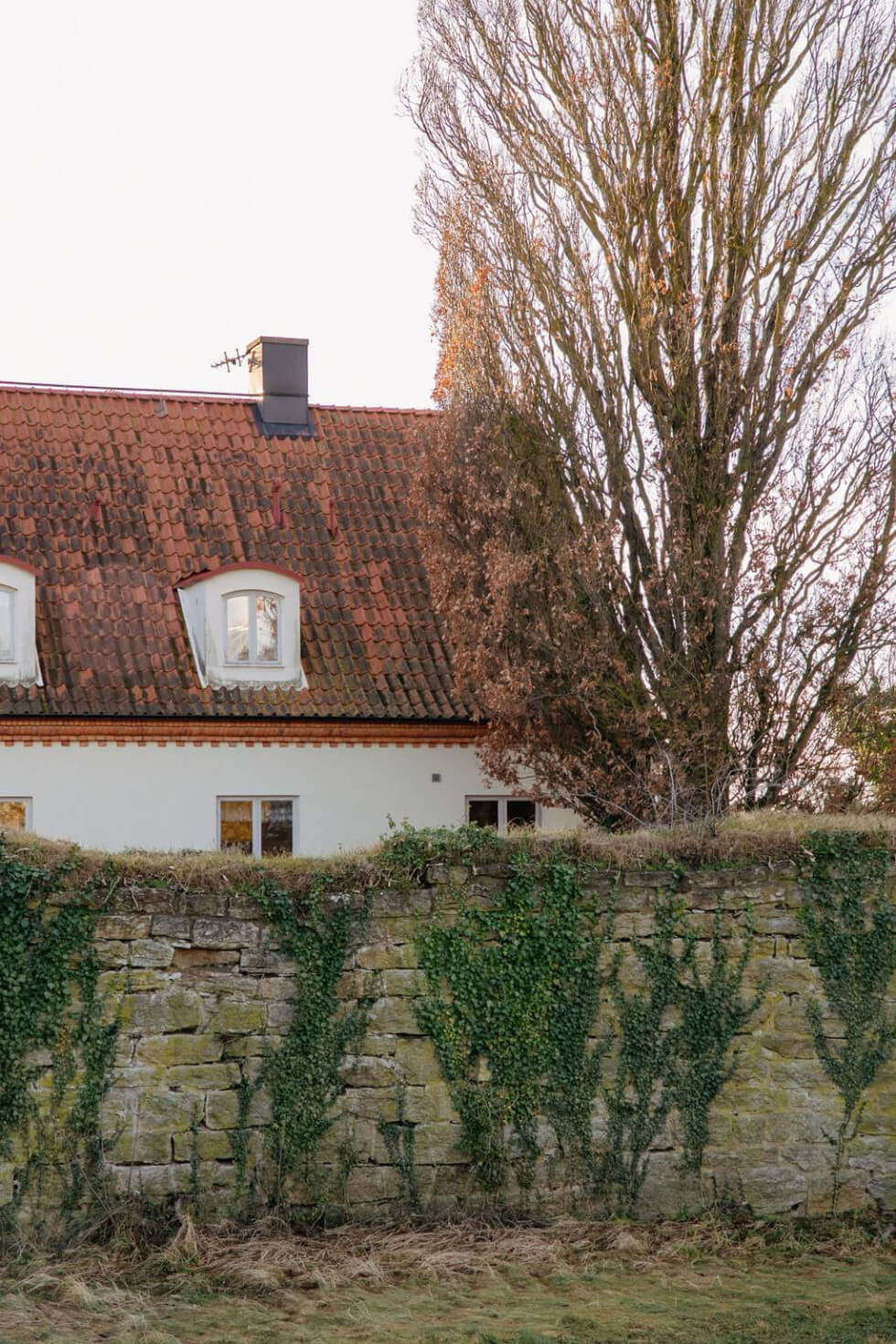mur murgröna vitt hus rött tak