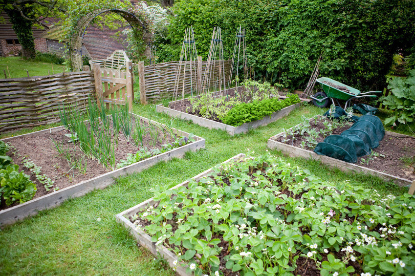 raised-garden-ideas-844-raised-garden-bed-ideas-849-x-565.jpg