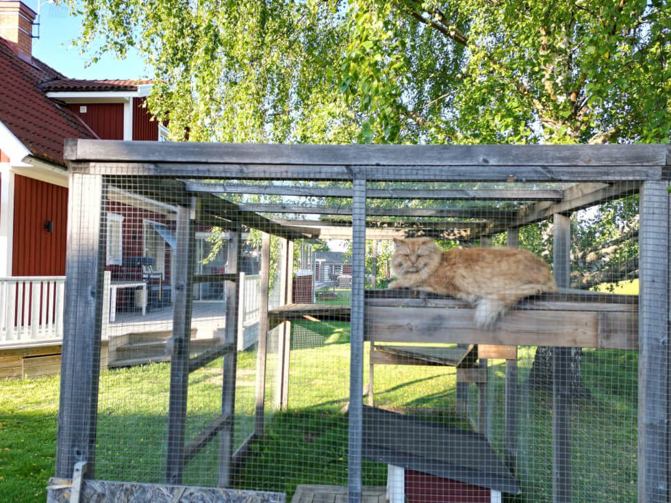 Rastgård till katten