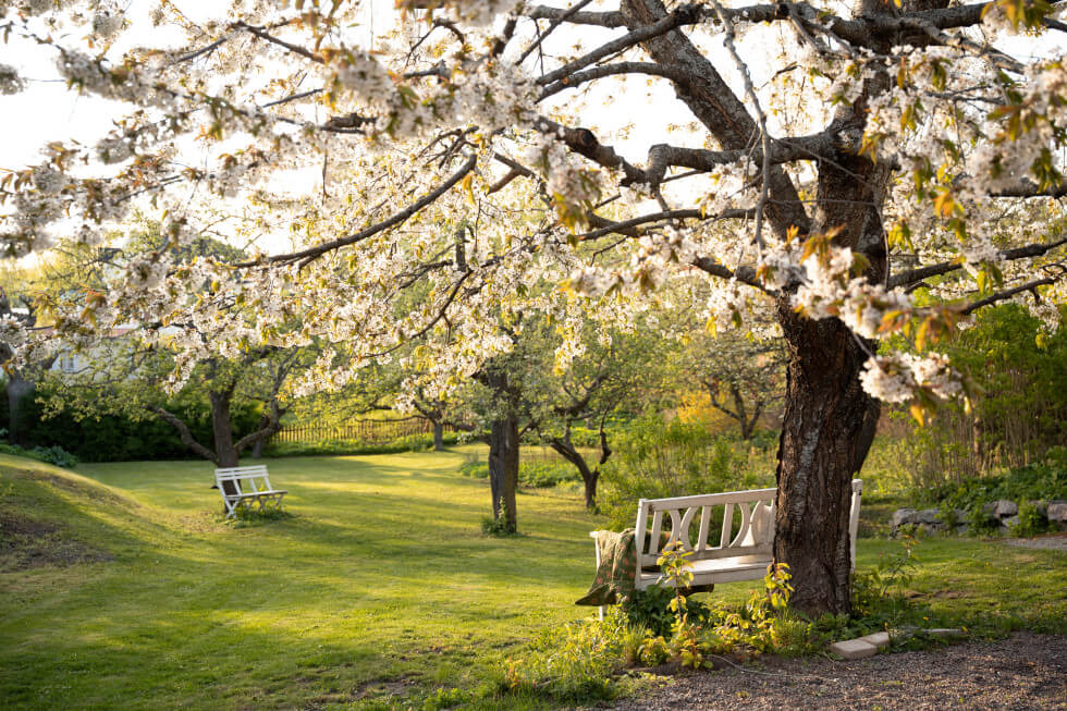 Sedan år 2000 är trädgården ett byggnadsminne.