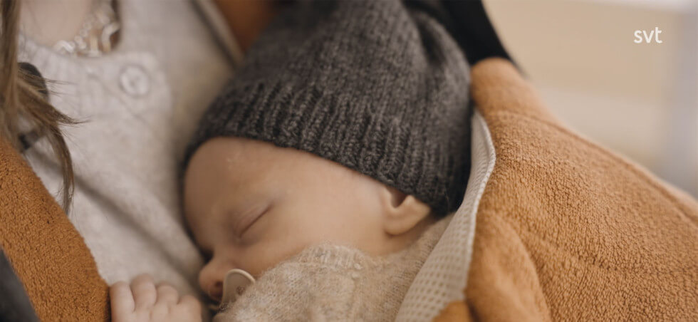 bebis