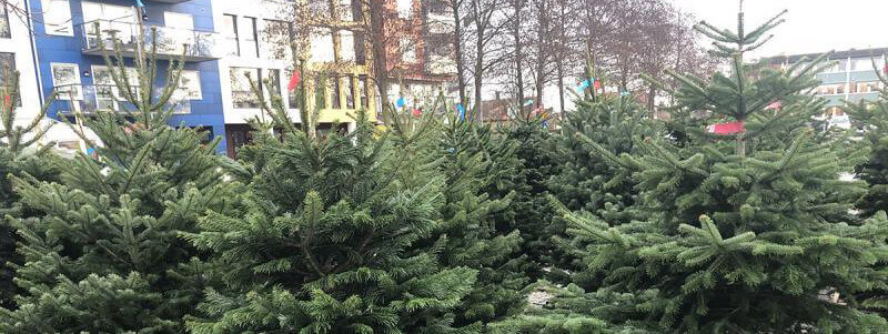 Julgransförsäljning