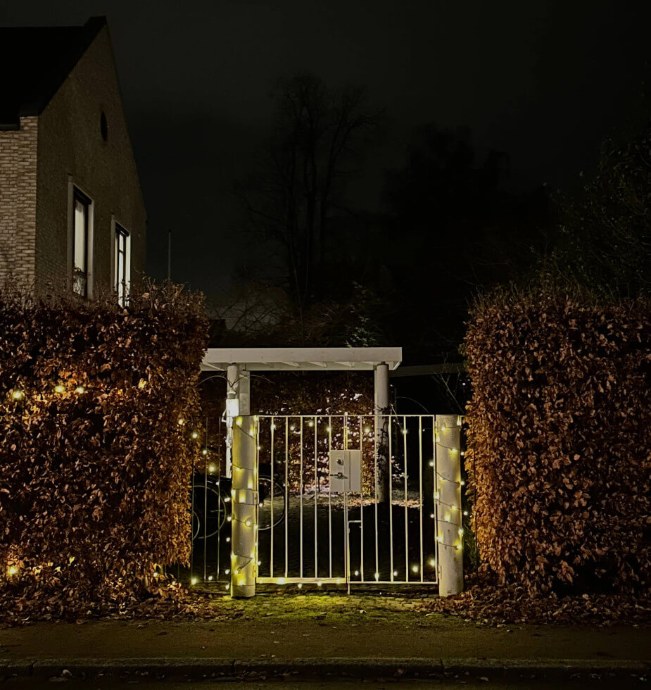Ljusslinga vid grinden och i häcken