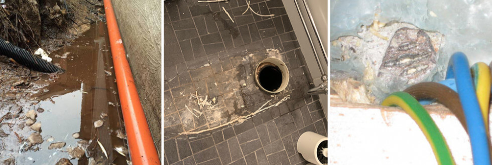 Medlemmarna Musicman, Maggot86 och Deralte har råkat ut för fuskbyggare.