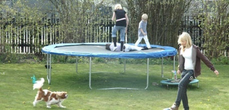 Skrikande barn och hundar som skäller?