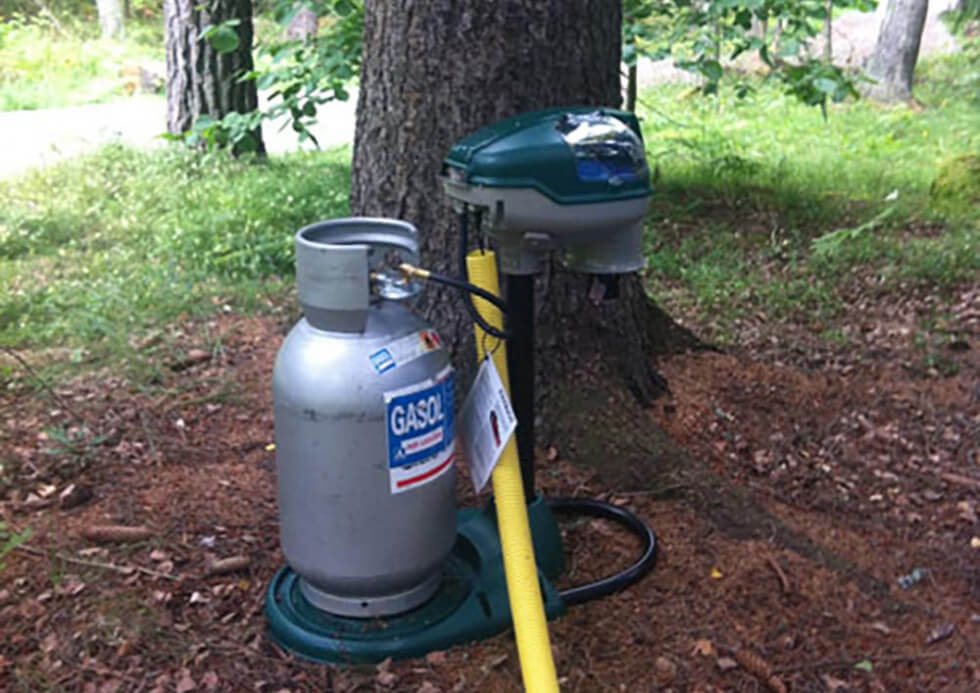 Myggfällan på plats hos Elina Blom.