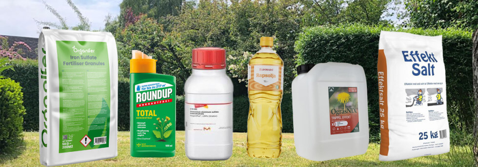 En del önskar en perfekt golfgreen, andra tycker det är ok med inslag av örter med mera i gräsmattan.