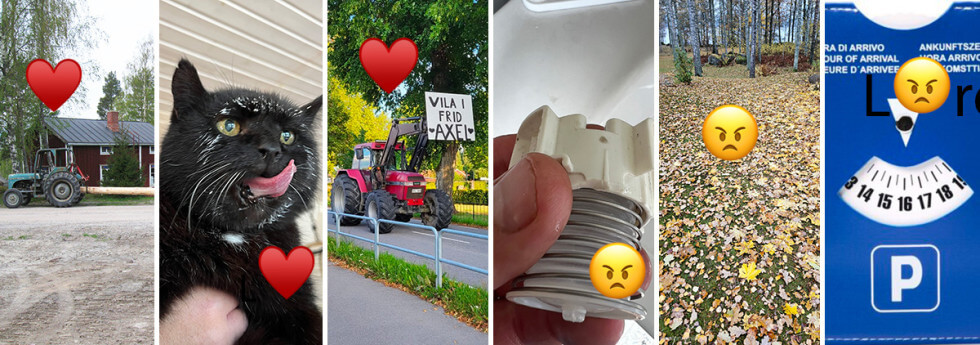 Mest älskade och mest upprörande inläggen 2025