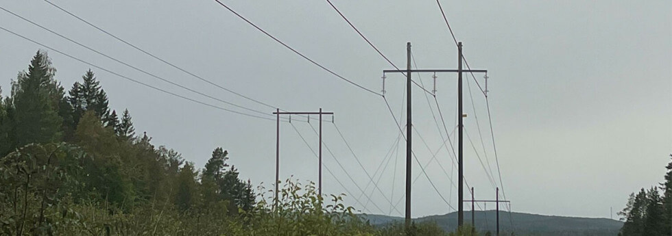 Bilden på kraftledningen är inte tagen i samband med artikeln.