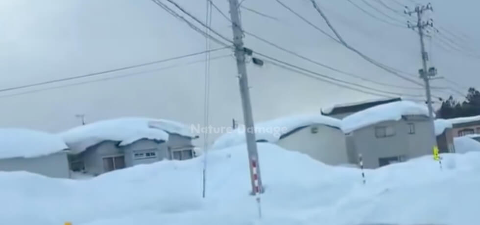 Youtubekanalen Nature Damage rapporterar om snökaoset i Japan.