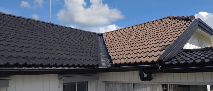 Medlemmen zwanzig målade sitt hus själv, utan kladd. 