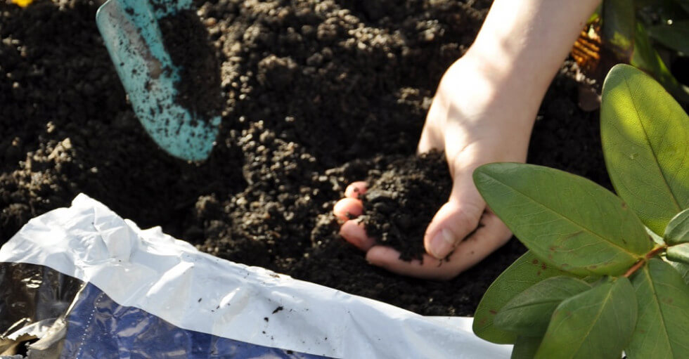 Legionella har bland annat funnits i jord köpt i påse.