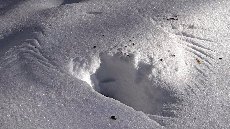 Pajala-bo skottade upp snö mot grannes uppfart.