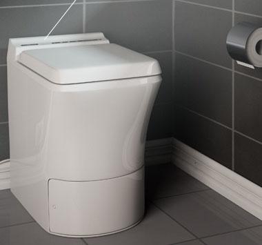 Bild till quizfråga