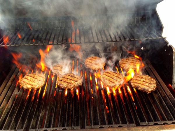 Bild till quizfråga