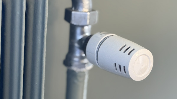 Bild till quizfråga