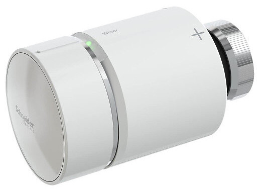 Bild till quizfråga