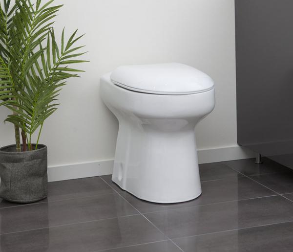 Bild till quizfråga