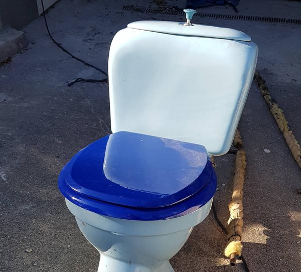 Bild till quizfråga