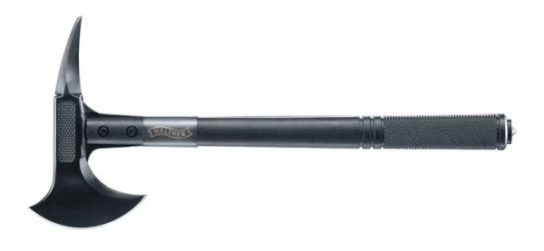 Bild till quizfråga