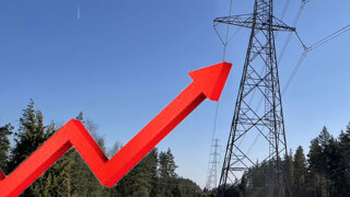 Elskatten har ökat med 600%