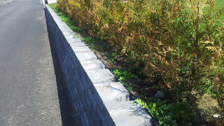 Dags att återupprätta tujans rykte