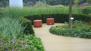 Idegran och idegranshäck