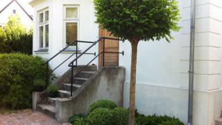 Hasselört är en underbar marktäckare