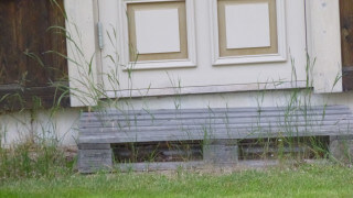 Ut ur lastpallsträsket på 5 arbetsdagar