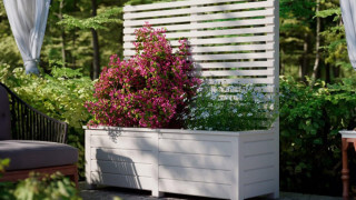 Dölja grannens fula hus