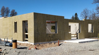 Vad kan du om stommar?